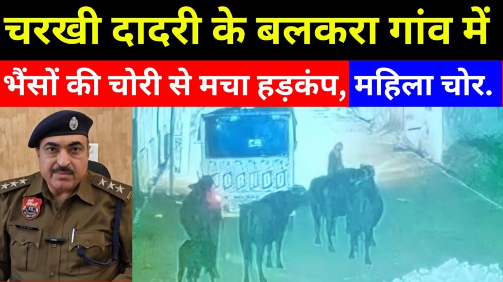 Charkhi Dadri