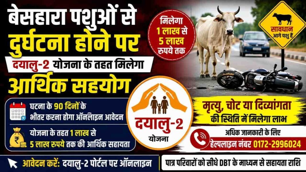 Charkhi Dadri – बेसहारा पशुओं से दुर्घटना पर मिलेगा 5 लाख तक का मुआवजा! दयालु-2 योजना में 90 दिन के अंदर करें आवेदन Charkhi Dadri