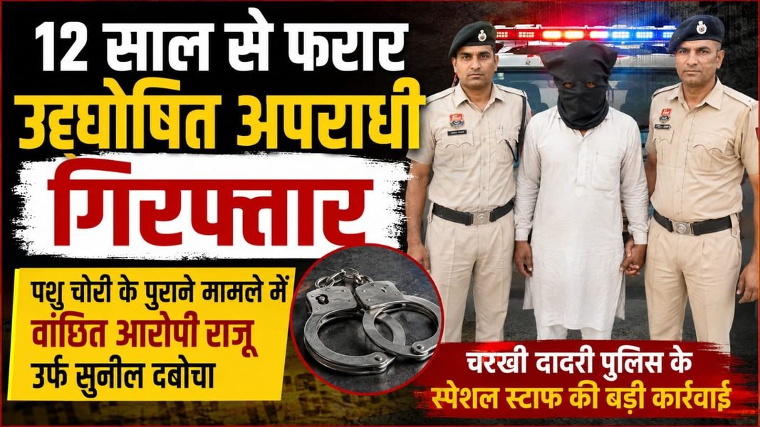 Charkhi Dadri News – 12 साल से फरार उद्घोषित अपराधी को चरखी दादरी पुलिस के स्पेशल स्टाफ ने दबोचा Charkhi Dadri News