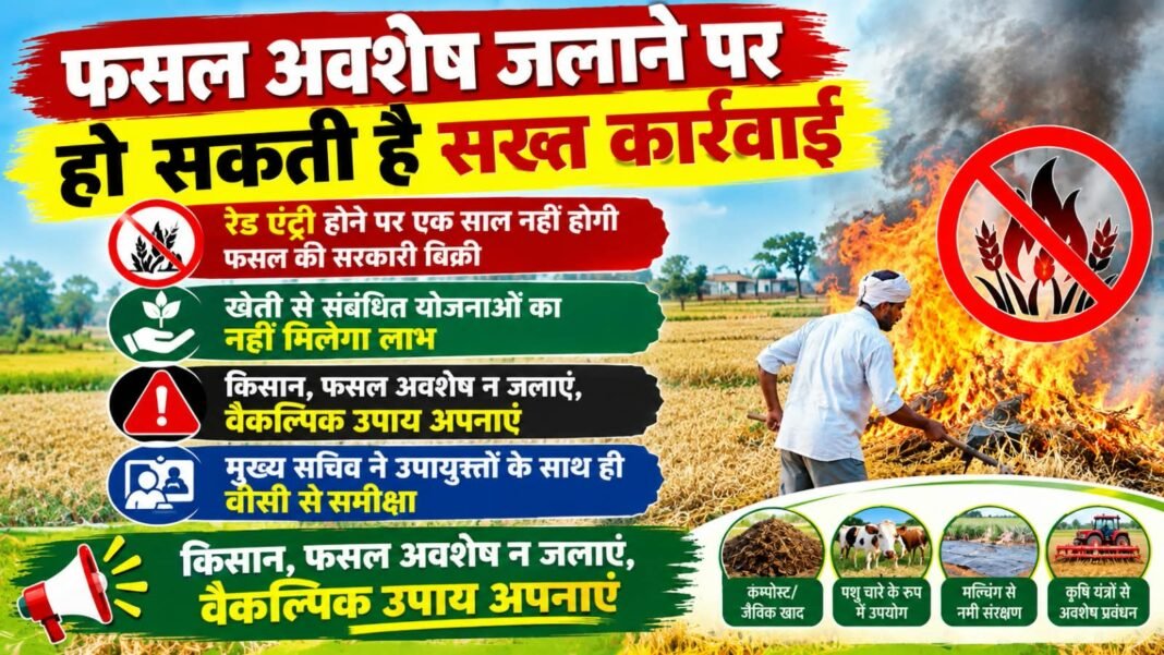 Charkhi Dadri News – फसल अवशेष जलाने पर हो सकती है सख्त कार्रवाई, एक साल तक नहीं बेच पाएंगे फसल Charkhi Dadri News