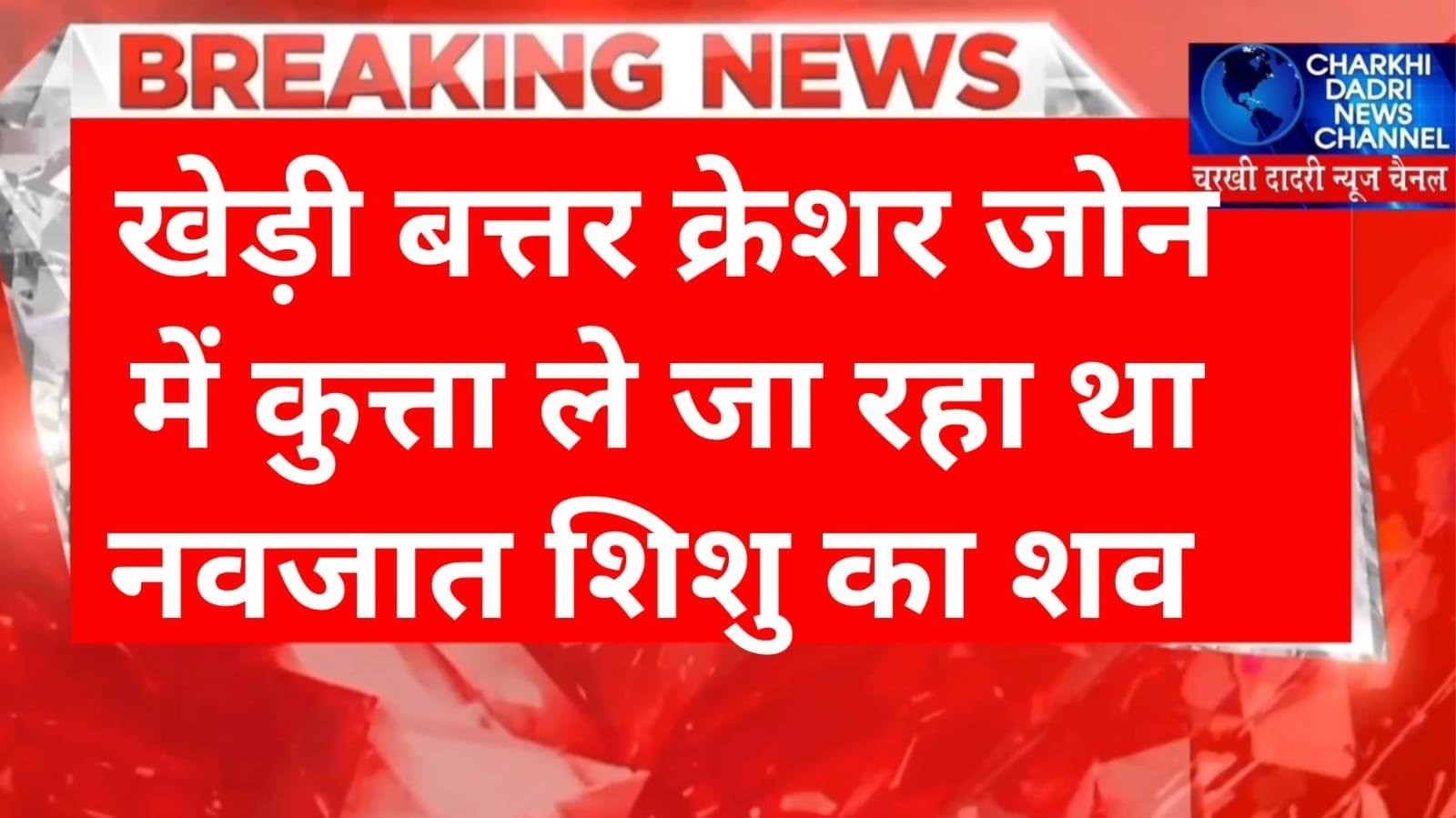 चरखी दादरी में नवजात शिशु के शव को ले जा रहा था कुत्ता, माँ की ममता हुई शर्मशार..