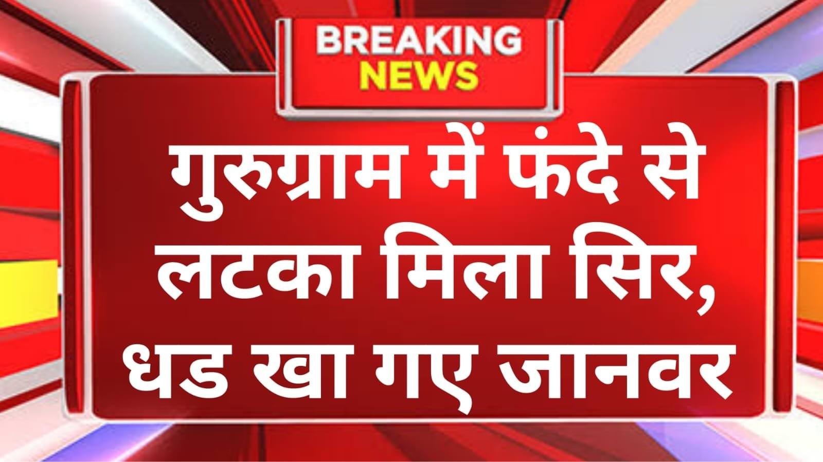 गर्लफ्रेंड से मिलने गया , पेड़ पर लटका मिला सिर , धड खा गए जानवर, लड़की से पूछा तो बताई लोकेशन