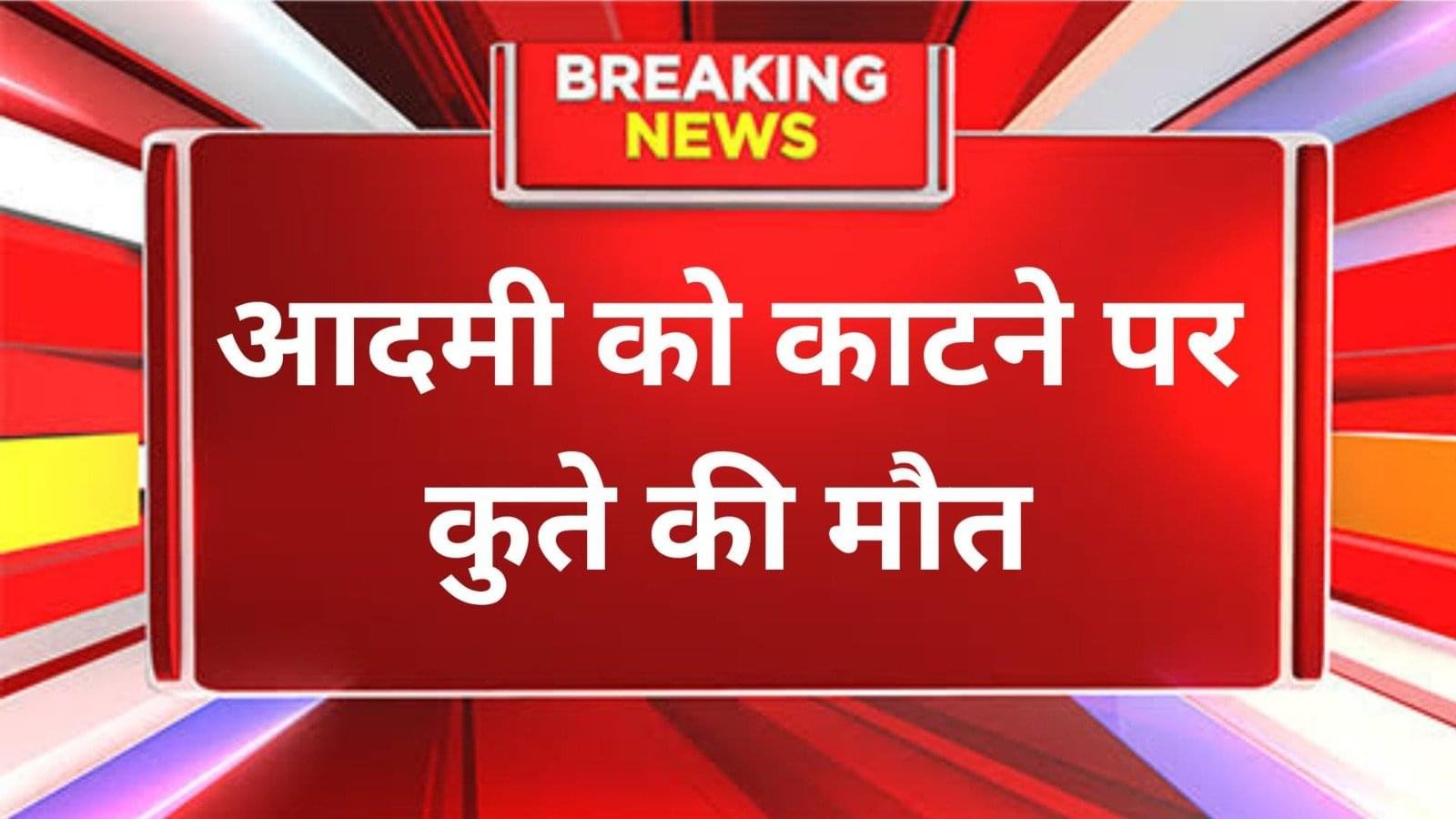 आदमी को काटने से कुते की मौत, जांच में जुटे डॉक्टर