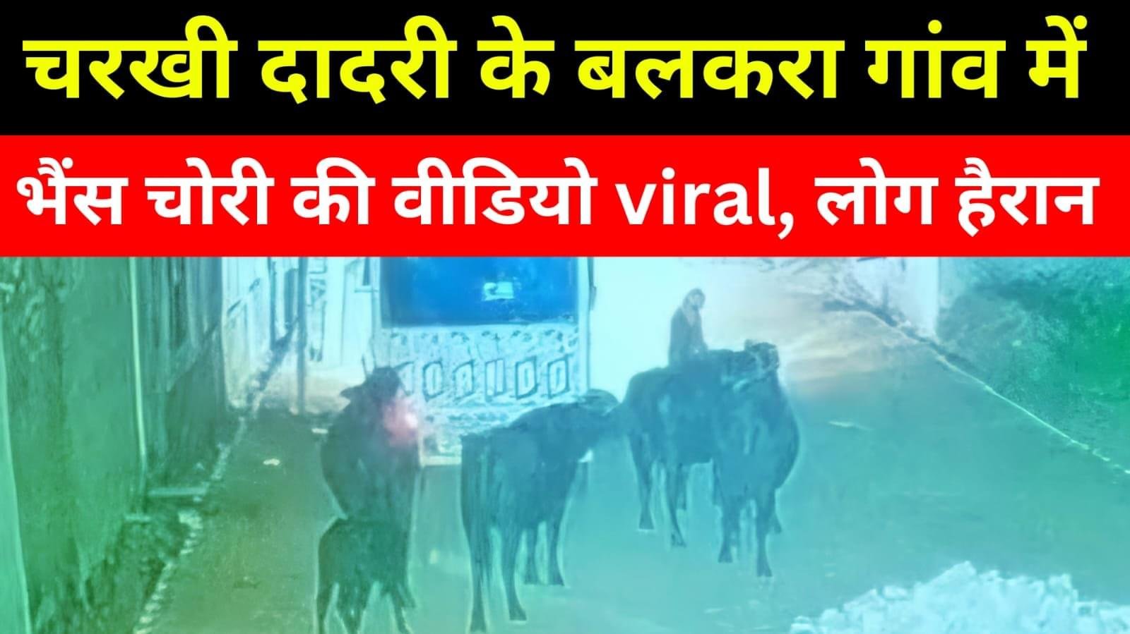 Charkhi Dadri में हड़कंप, चोरों के साथ दिखी महिला, वीडियो viral