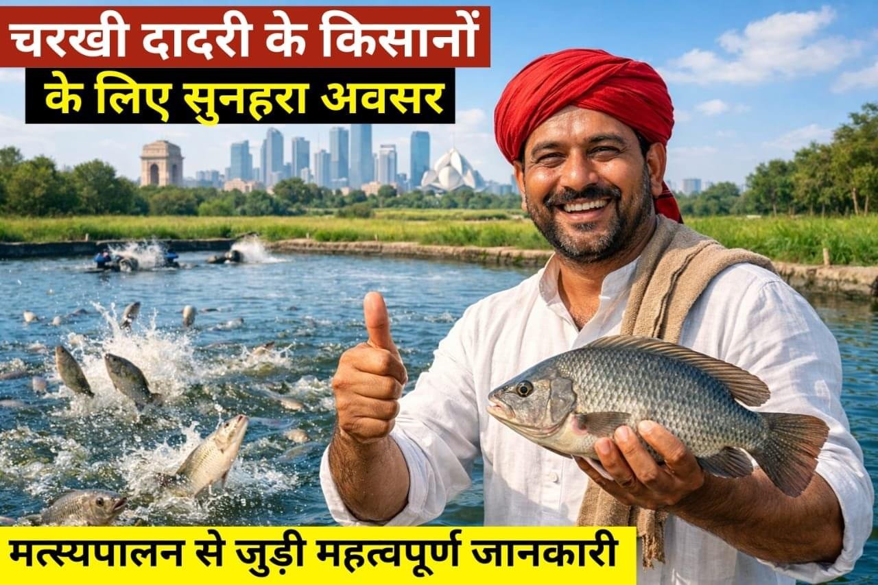 Charkhi Dadri में मत्स्यपालन की अपार संभावनाएं | DC ने कही बड़ी बात